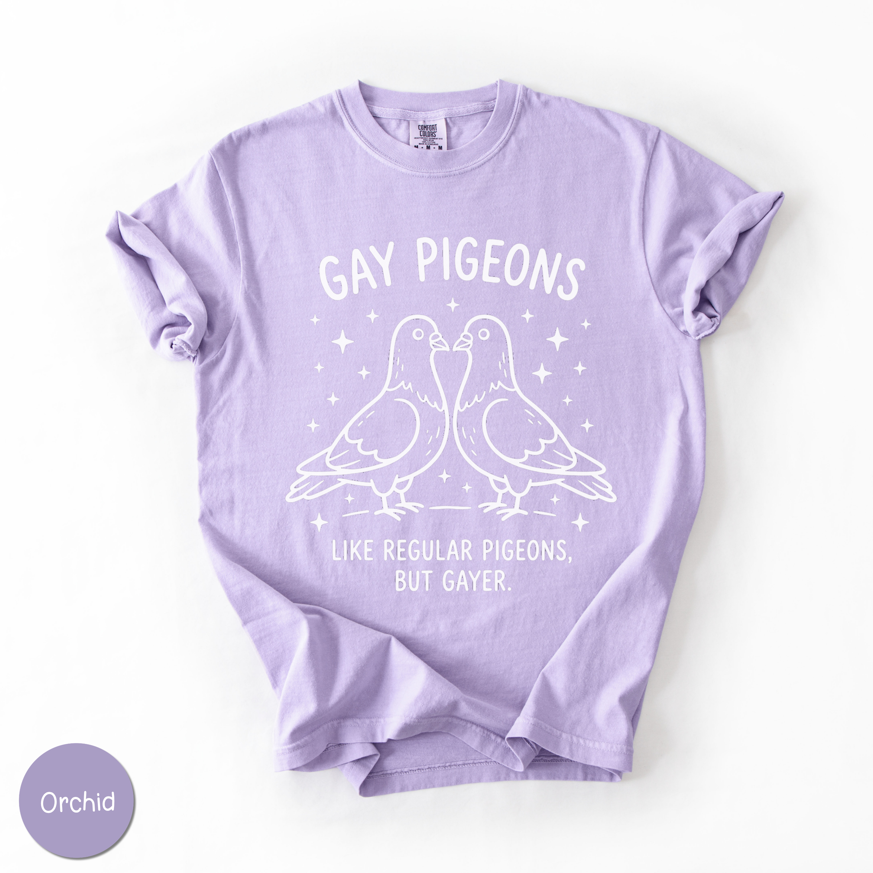 Gay Pigeons Shirt | Funny LGBTQ Pride Graphic Tee
