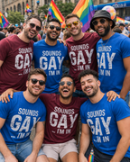 Funny Gay Shirts - Sounds Gay I'm In