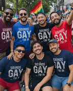Funny Gay Shirts - Sounds Gay I'm In
