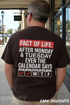 After Monday and Tuesday Even the Calendar Says WTF Shirt | Funny Back Print Tee