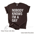 Nobody Knows I'm Gay Shirt | LGBTQ Gay Pride Clothing